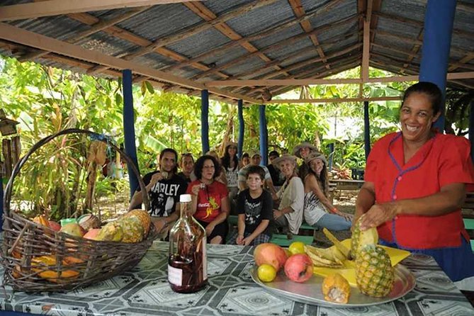 Full-Day Tour 4x4 ATV, Water Cave, and Snorkeling Cruise - Ecological Farm + Coffee and Chocolate Tasting (Why It’s More Than a Photo Stop)