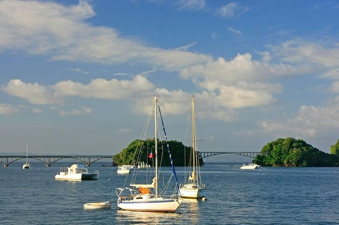 Full day tour to samana bay from punta cana - The Real Value of a Samana Bay Day Trip From Punta Cana