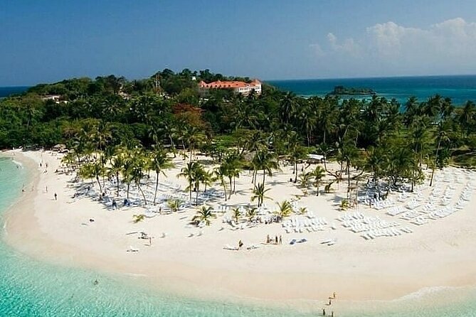 Full day tour to samana bay from punta cana - Price and Logistics: Does $145 Add Up?