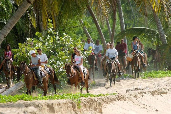 Full day tour to samana bay from punta cana - The Day’s Pace: How to Enjoy It Without Feeling Rushed