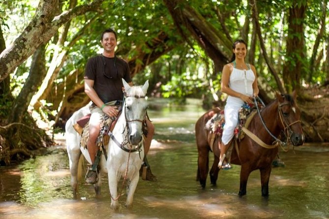 Full day tour to samana bay from punta cana - Weather and Sea Conditions: How Flexibility Protects Your Day