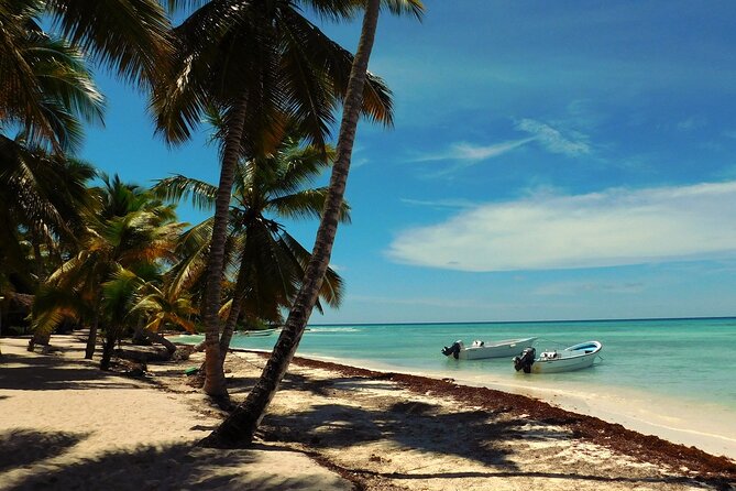 Full Day Tour to Saona Island by Catamaran and Speedboat - Why This Saona Trip Feels Like a Real Vacation Day