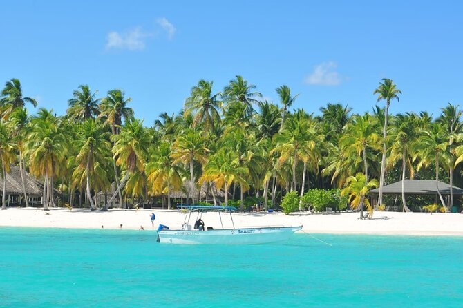 Full Day Tour to Saona Island by Catamaran and Speedboat - The Natural Pool at Playa Palmilla: Shallow Water and Coral Terrace Scenery