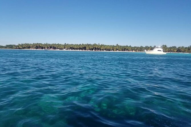 Full Day Tour to Saona Island by Catamaran and Speedboat - Food and Drinks: Real Value for a Full 8–10 Hour Day