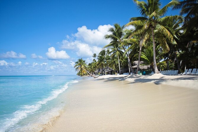Full-Day Tour to Saona Island Sailing with Lunch and Beverages - Key Moments You’ll Actually Care About