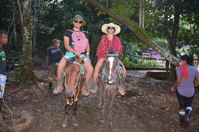 Full-Day Trip to Limon Waterfall and Bacardi Island - Logistics That Affect Comfort: Pickup, Timing, and Group Size