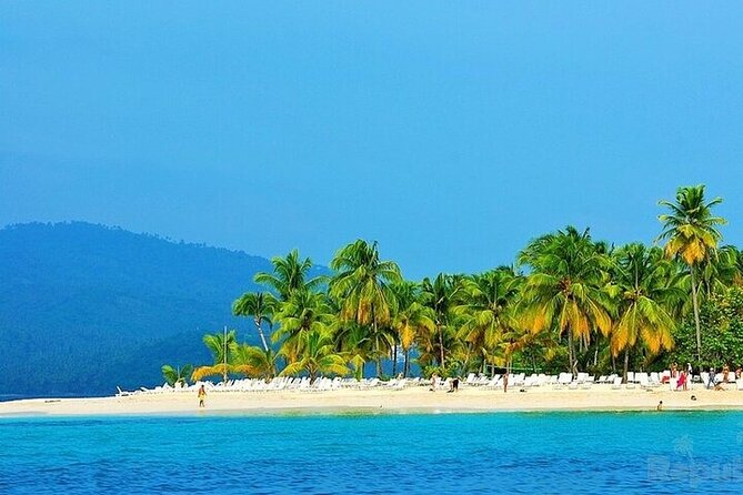 Full-day Whale watching Tour in Samana Bay from Punta Cana - Whale Watching at Santuario de Ballenas Jorobadas: What You Should Expect