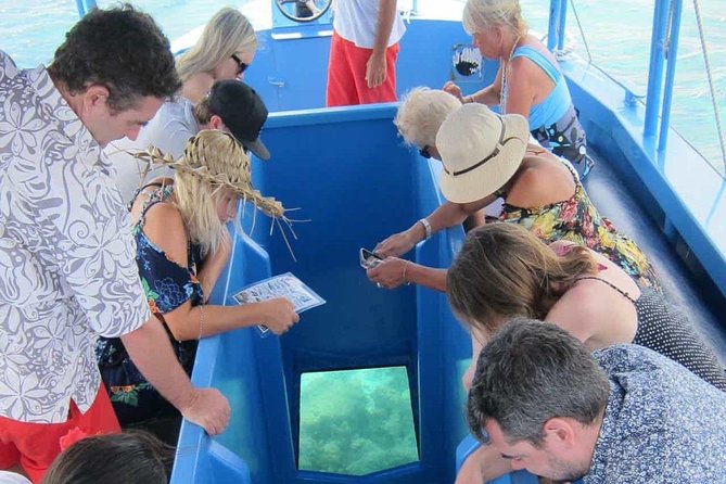 Glass Bottom Boat in Punta Cana - Pickup, Small-Group Vibe, and What 4 Hours Feels Like