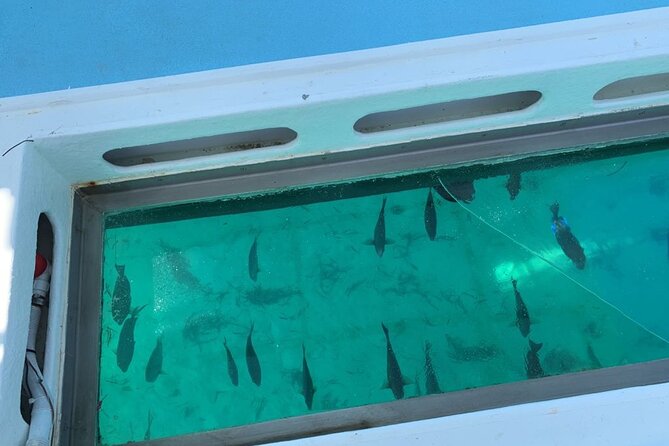 GlassBottom Catamaran with Slide - Snorkeling gear included, plus a guide-style safety net