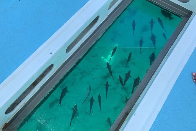 GlassBottom Catamaran with Slide - Food, open bar, and what it actually adds to the day