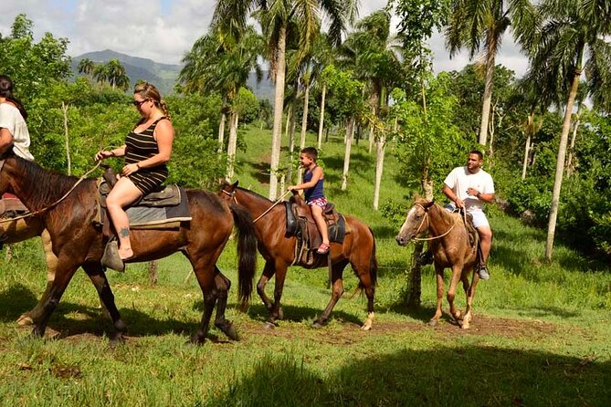 Guided Horseback Ride On The Beach With Pickup From Punta Cana - Key Things That Make This Beach Horse Ride Worth Your Time