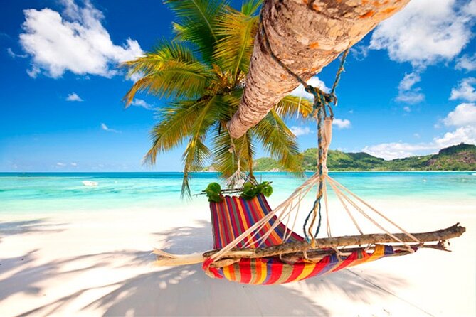 Guided Saona Island Tour in Punta Cana - Key highlights to know before you go