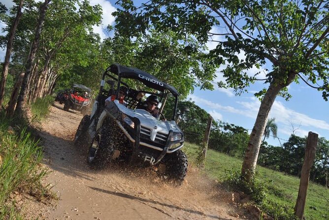 Guided Tour in Polaris (4X4) by Macao Beach, Taino Cave and Typical House - Practical tips to make the day smoother