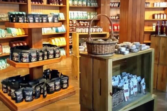 Guided Tour to Don Lucas Cigars Factory and Souvenirs Store - Inside the cigar factory: what you’ll likely see (and what to expect)