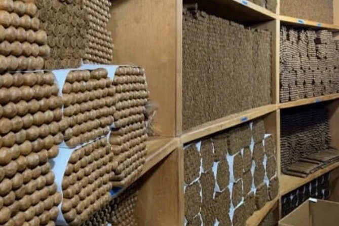 Guided Tour to Don Lucas Cigars Factory and Souvenirs Store - Weather, timing, and how to avoid wasting a holiday hour