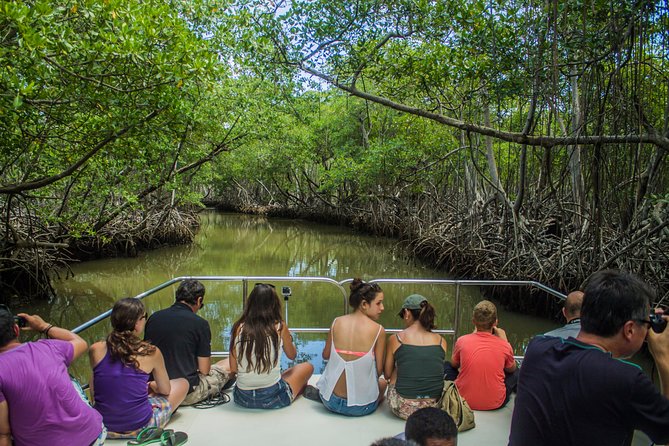 Haitises National Park with Paraiso Caño Hondo & Montaña Redonda - Getting out of Punta Cana: the long drive that sets the tone