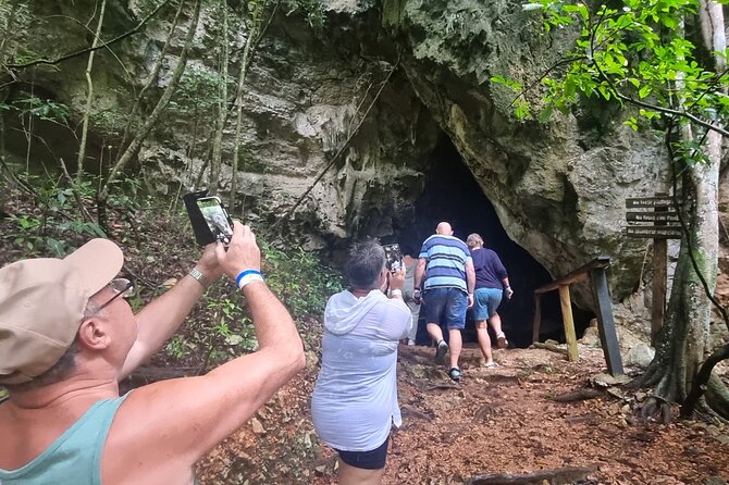 Haitises National Park with Paraiso Caño Hondo & Montaña Redonda - Los Haitises National Park by riverboat: mangroves and caves