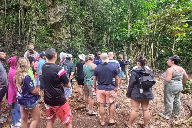 Haitises National Park with Paraiso Caño Hondo & Montaña Redonda - The cave expedition and culture stops: more than scenery