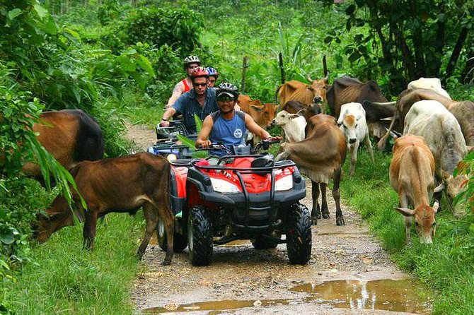 Half-Day Adventure 4x4 ATV, Water Cave and Dominican Culture - Price and Logistics: What You’re Actually Buying