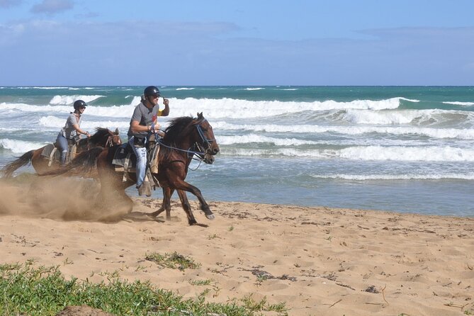 Half Day Buggies and Horseback Experience in Punta Cana - Why This Buggy-and-Horse Combo Works in Punta Cana