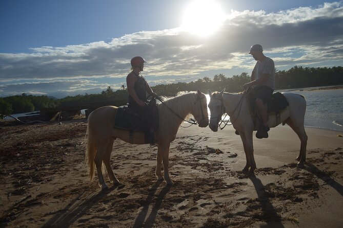 Half Day Buggies and Horseback Experience in Punta Cana - Pickup and Getting to the Start: Small Delays Add Up
