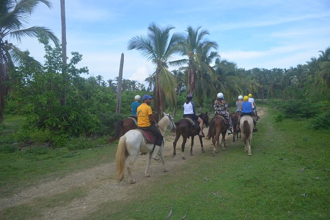 Half Day Buggies and Horseback Experience in Punta Cana - Coffee, Chocolate, and Rum Tastings: Worth It If You Like Local Flavors