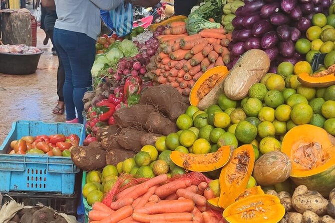 Half-day City tour cultural from punta cana for small group - Highlights At A Glance