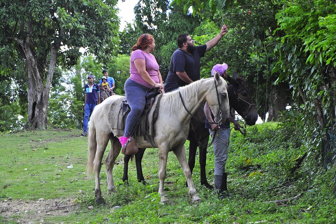 Half-Day Cultural Safari - Higüey city loop, market energy, and the everyday Dominican routine