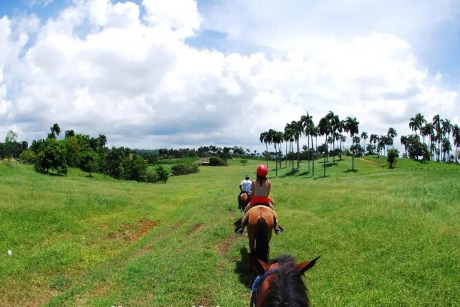 Half-Day Cultural Safari - Horseback riding: do it for the view, not the postcard