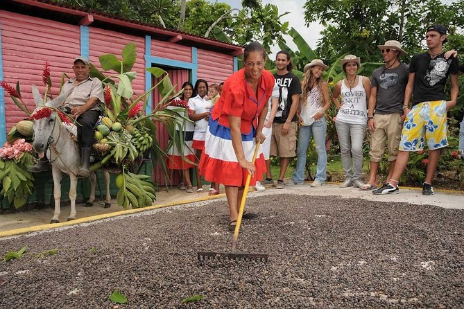 Half-Day Dominican Republic Safari Tour from Punta Cana - Macao Beach: The Easy Coastal Reset