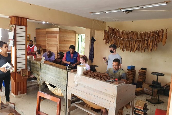 Half Day Dominican Safari for all Family - Timing, Weather, and When You Should Book
