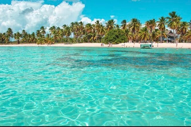 Half-day Private Catamaran Trip with Snorkeling - Pickup, Travel Time, and When You’ll Actually Be on the Boat
