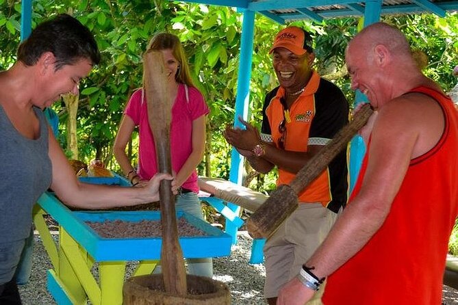 Half Day Punta Cana City Tour - How this half-day Punta Cana tour runs (and who it fits)