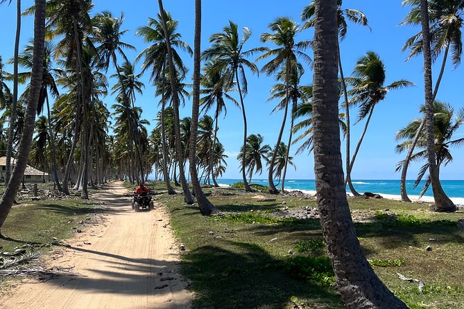 Half Day Safari and ATV or horses from Punta Cana - Key highlights to know before you go