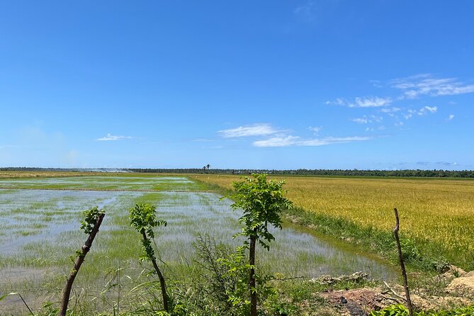 Half Day Safari and ATV or horses from Punta Cana - The farm-house-style learning break and what it adds
