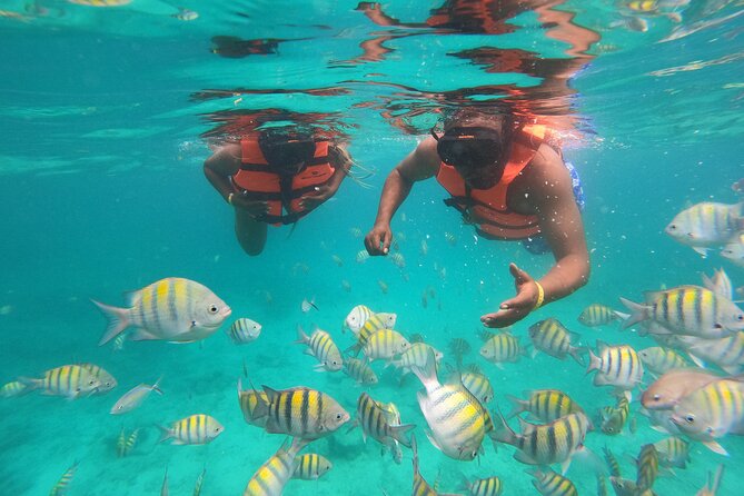 Half-Day Snorkeling Cruise and Natural Pool with Open Bar - Key Things That Make This Cruise Worth Your Time