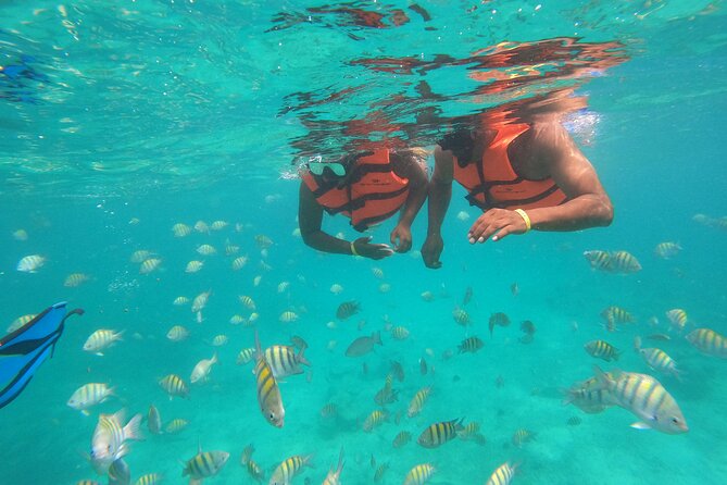 Half-Day Snorkeling Cruise and Natural Pool with Open Bar - Who This Tour Fits Best (And Who Might Be Happier Elsewhere)