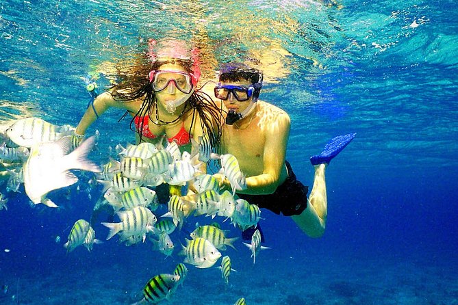 Happy Hour Party Boat With Snorkeling - The open bar and snacks: what “happy hour” really means