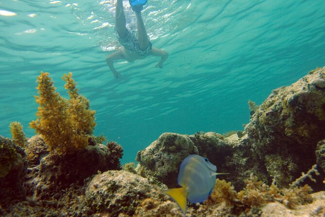 Happy Hour Party Boat With Snorkeling - Crew energy and safety rules that keep the fun on track