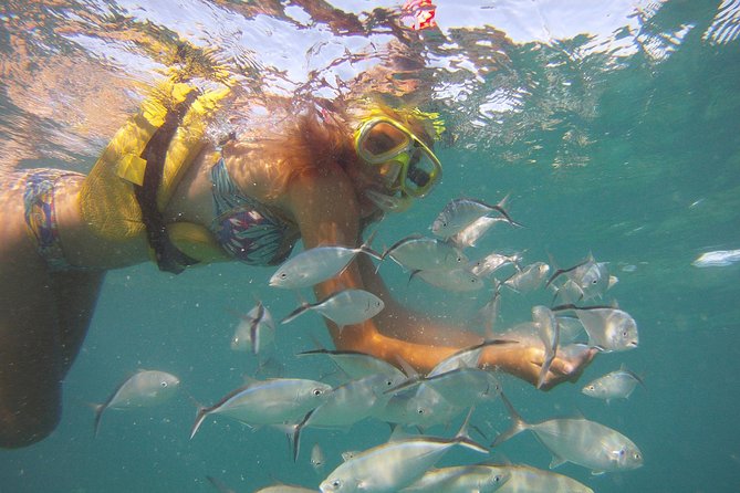 Happy Hour Sailing Cruise from Punta Cana - First Step: Marinarium Parks and the animal exhibit warm-up