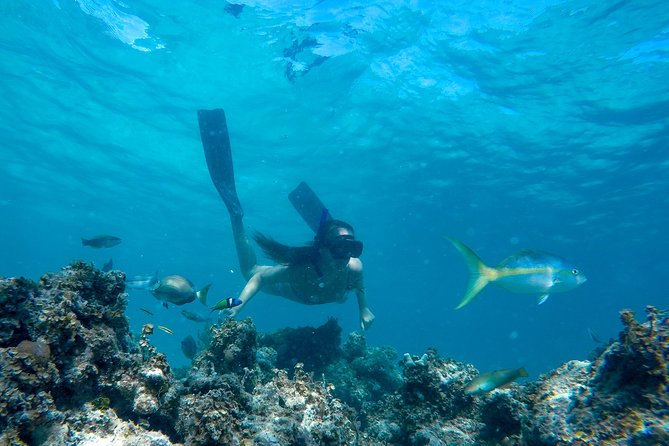 Happy Hour Sailing Cruise from Punta Cana - Snorkeling the coral reef with a guide (and gear included)