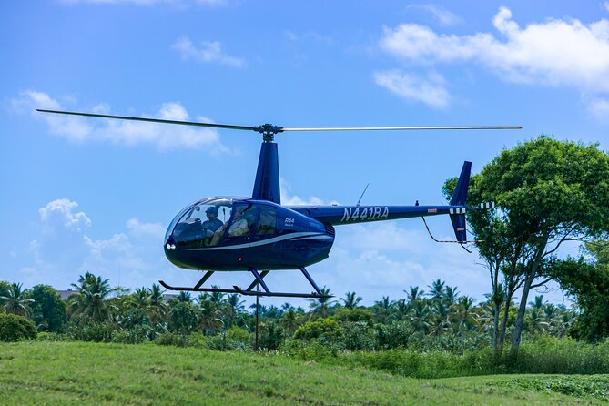 Helicopter tour of Punta Cana - Over Punta Cana: the Coco Bongo Dome and Bavaro hotels from above