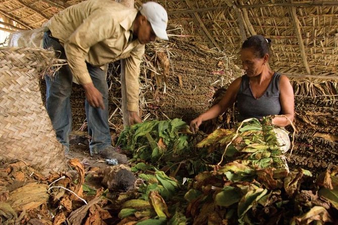 Higuey City Tour - A Cultural Experience From Punta Cana - Group Size, English Levels, and Photo Add-Ons