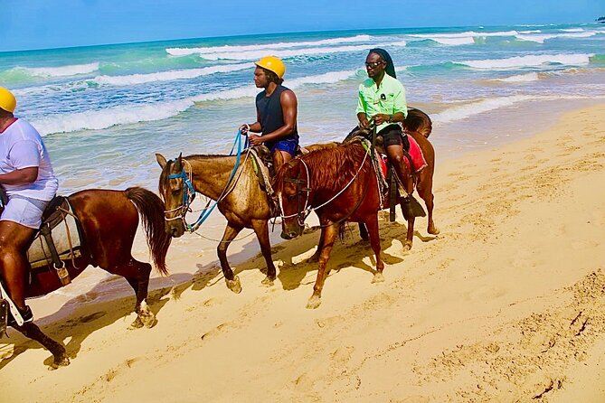 Horse Back Riding Adventure in Punta Cana - First gear: pickup, timing, and what the morning feels like