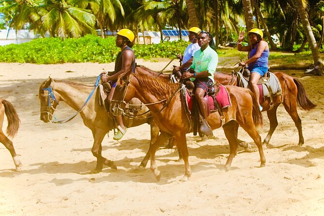 Horse Back Riding Adventure in Punta Cana - Meeting your horse and matching your comfort level