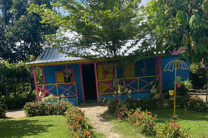 Horse Back Riding Adventure in Punta Cana - The ranch lesson: how they teach you to ride (and why it works)