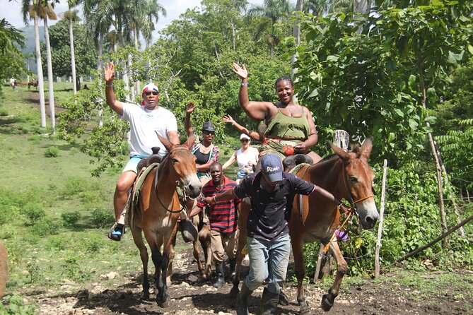 Horse back riding (Punta Cana/Bavaro) - The 3-Hour Game Plan: Pickup, Village Stop, and Macao Beach Riding