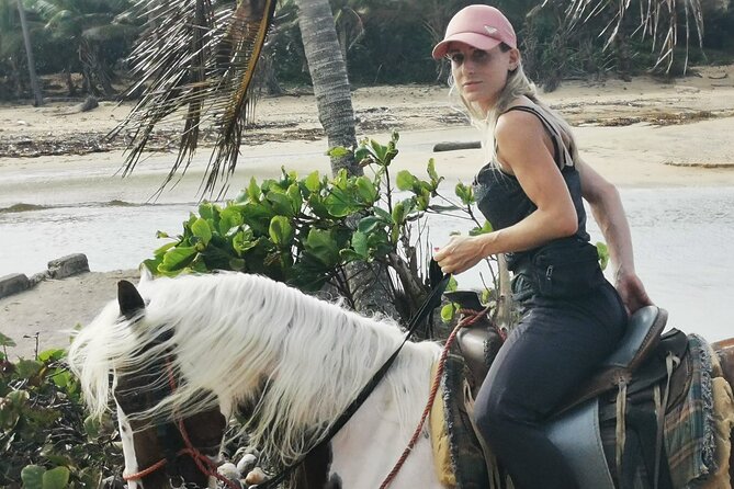 Horse Riding Experience through El Limon Beach - The trail route: village streets, cattle farms, and subtropical wetlands