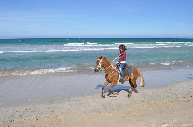 Horse Riding Experience through El Limon Beach - Pacing and physical effort: who this tour fits best