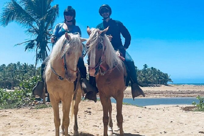 Horse Riding Experience through El Limon Beach - El Limon Beach: your quiet payoff at the end of the ride
